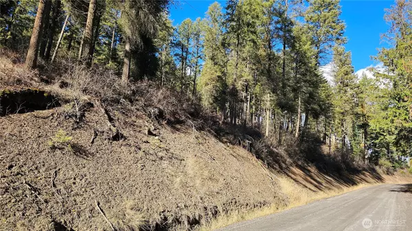 Colville, WA 99114,717 B Finley Gulch RD