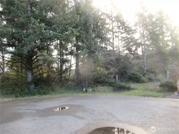 Ocean Shores, WA 98569,311 Sycamore CT