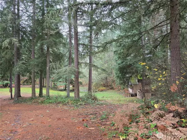 Eatonville, WA 98328,41411 E 109th Avenue Ct E