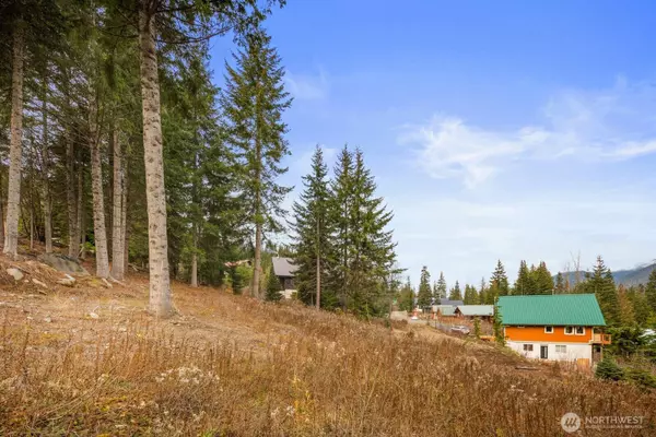 Snoqualmie Pass, WA 98068,321 Innsbruck DR