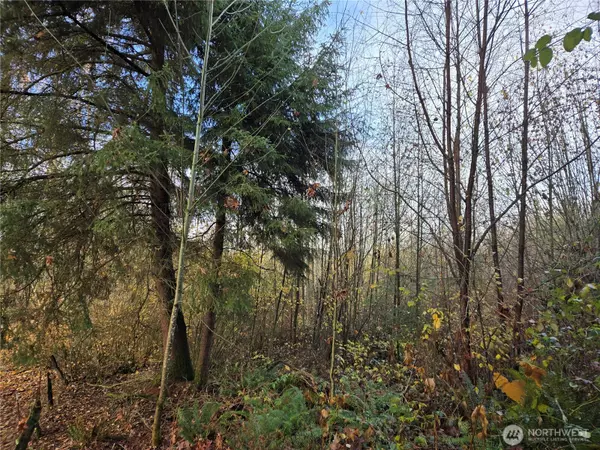 Auburn, WA 98092,388 XX 191st AVE SE