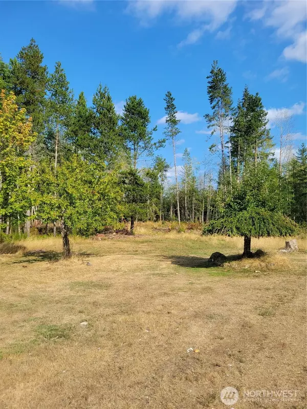 Gig Harbor, WA 98329,16314 160th ST NW