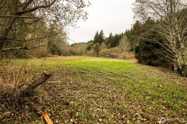 Montesano, WA 98563,763 Geissler RD