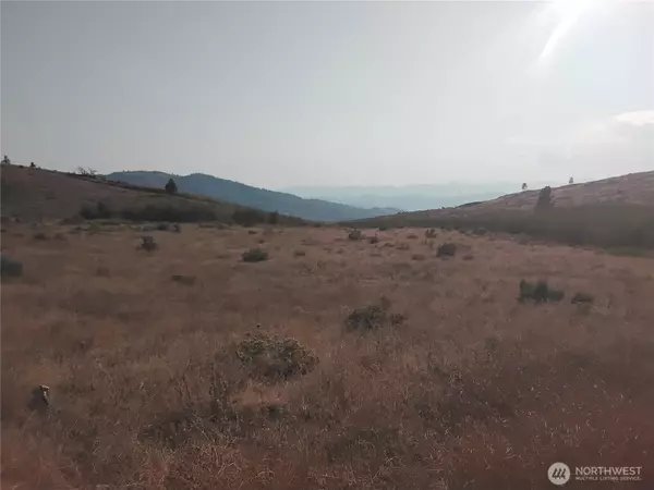 Tonasket, WA 98855,6 Painted Rock RD