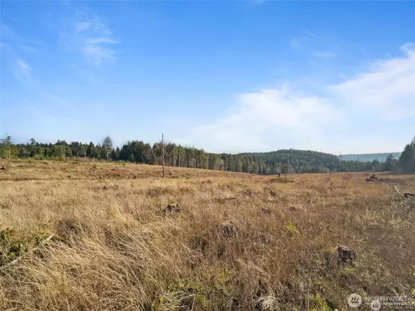 Adna, WA 98522,597 Brown