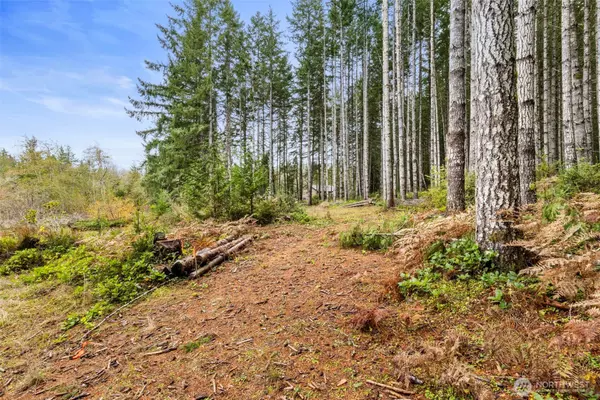 Seabeck, WA 98380,3 Larson LN NW