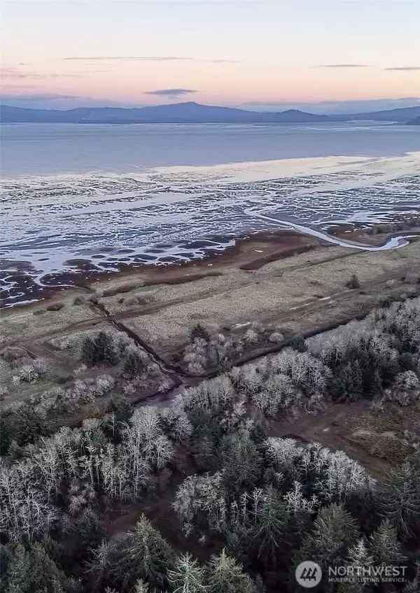 Long Beach, WA 98631,0 Pacific (WA-103) HWY