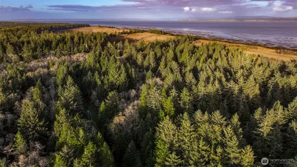 Ocean Park, WA 98640,13 357th LN