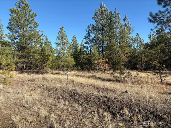 35430 Prairie LN N #Lot 3, Creston, WA 99117