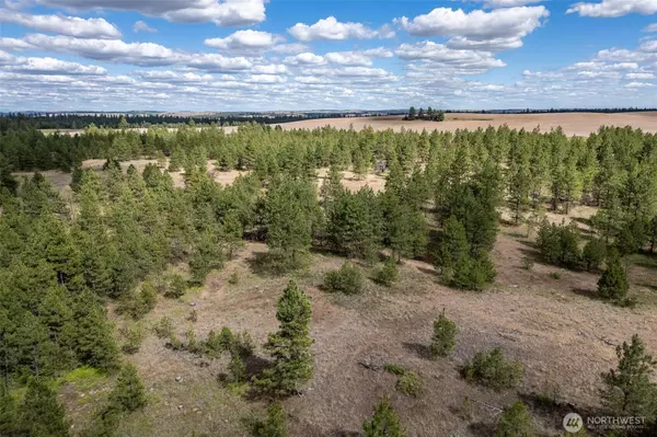 Creston, WA 99117,35430 Prairie LN N #Lot 3