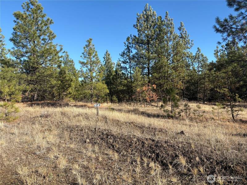 35450 Prairie LN N #Lot 2, Creston, WA 99117