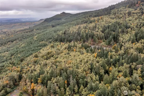 Ravensdale, WA 98051,358 xx SE 311th ST