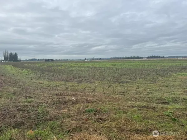 Lynden, WA 98264,1440 Birch Bay Lynden RD