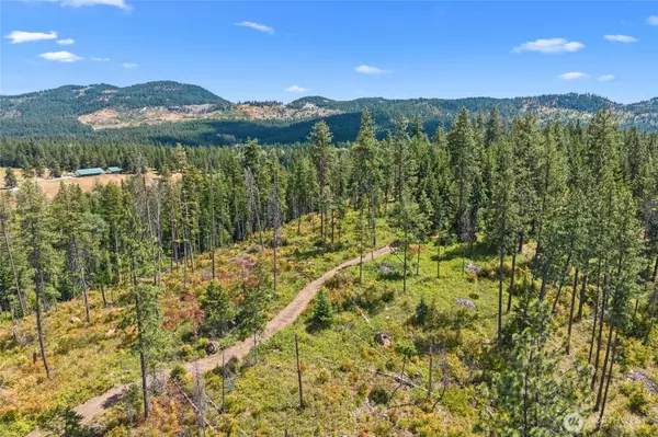 0 xx Dry Creek #1 & 2, Chewelah, WA 99109