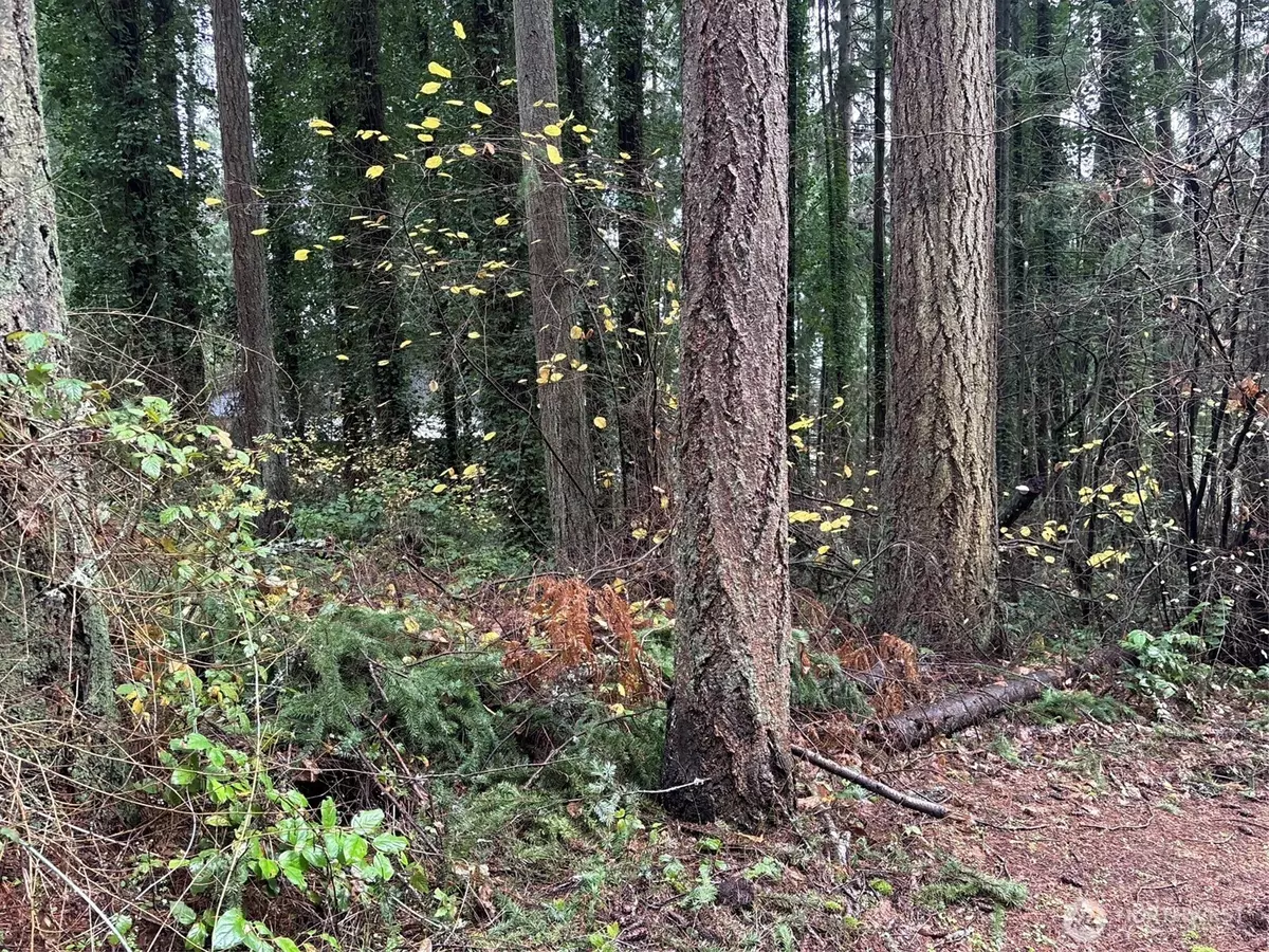 Lacey, WA 98503,6493 20th AVE E