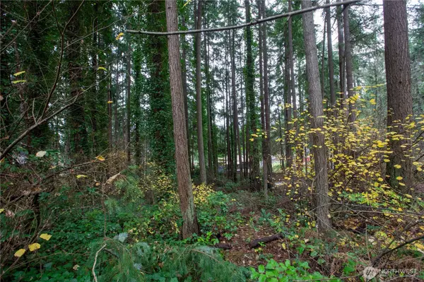 Lacey, WA 98503,6943 20th AVE E