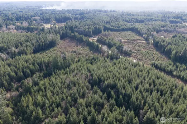 Hoquiam, WA 98550,0 M.P. US Highway 101