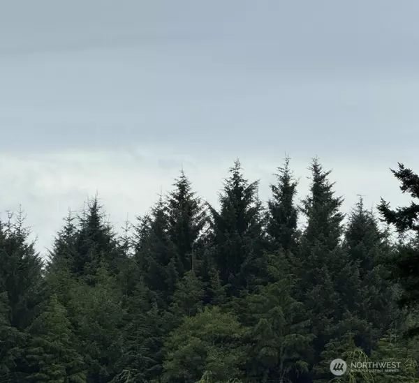 Pacific Beach, WA 98571,0 Roosevelt Beach