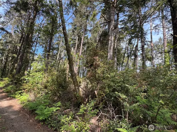 Ocean Park, WA 98640,1101 Lot E 231st LN