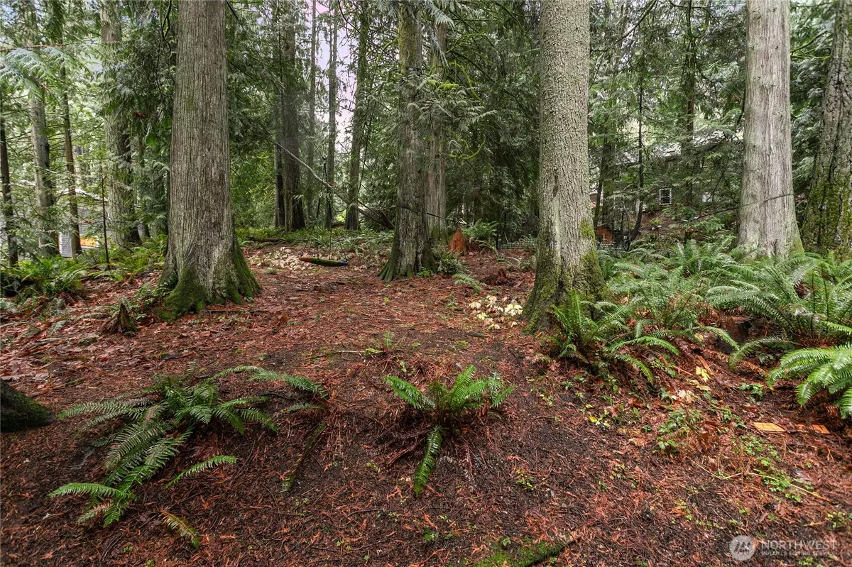 Bellingham, WA 98229,22 Jasper Ridge LN