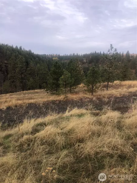 30991 Pine Hen LN E, Davenport, WA 99122