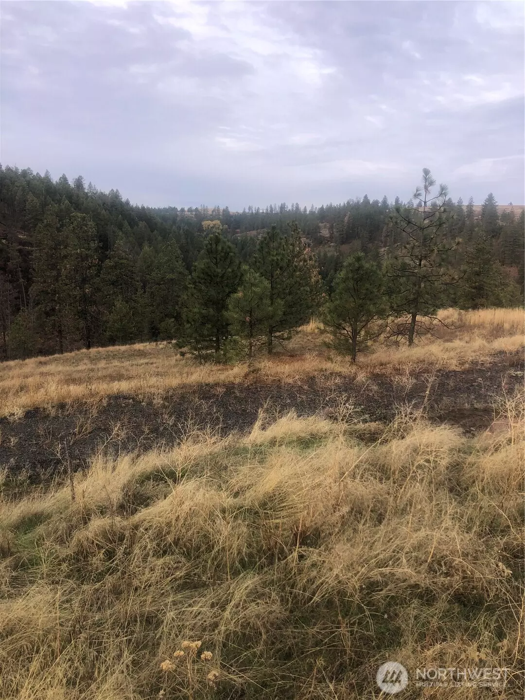 Davenport, WA 99122,30991 Pine Hen LN E