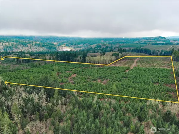 Quilcene, WA 98376,2 xxx Snow Creek RD