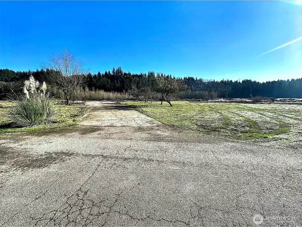 Graham, WA 98338,17118 226th St Ct E