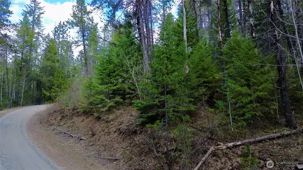 Newport, WA 99156,0 Sleepy Hollow LN