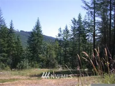 Eatonville, WA 98328,50001 146th AVE E