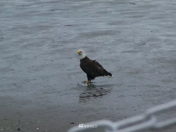 Hat Island, WA 98206,119 B Whidbey Island