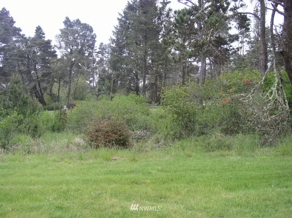 1420 207th ST, Ocean Park, WA 98640