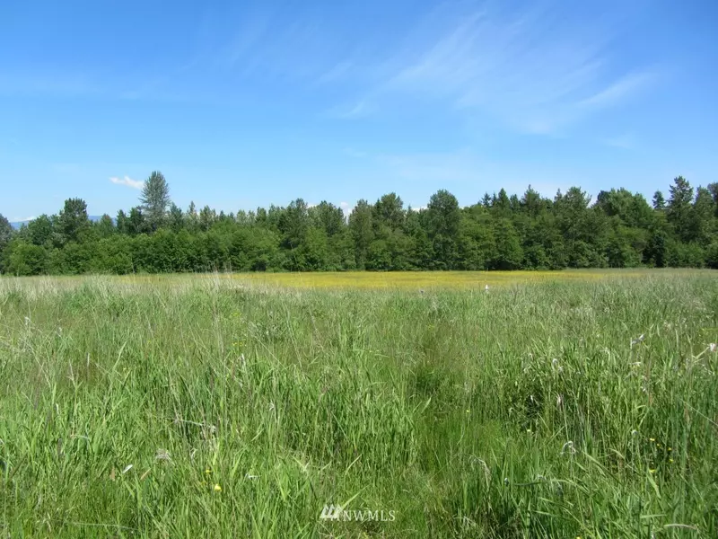 6045 Birkdale LN, Everson, WA 98247