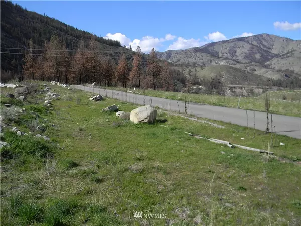 Pateros, WA 98846,0 Hurricane Ranch Lot 4