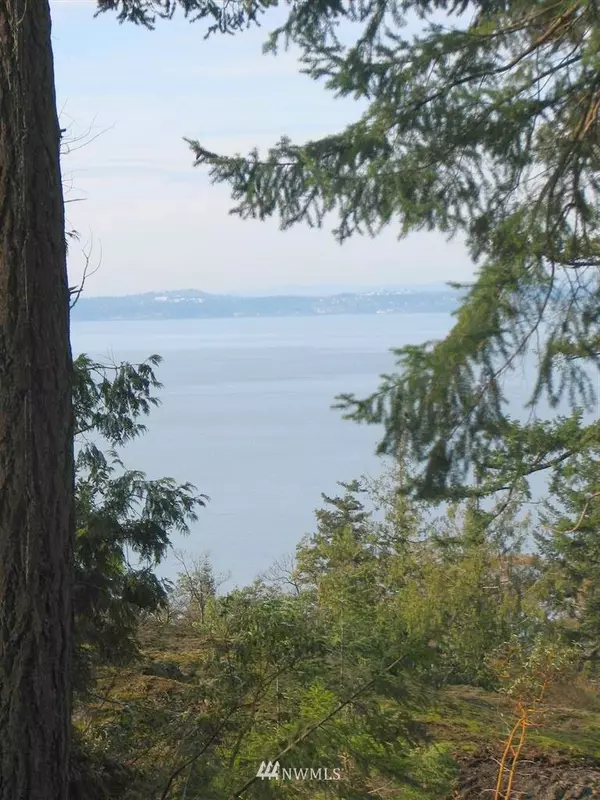 San Juan Island, WA 98250,0 Lot 10 Spinnaker