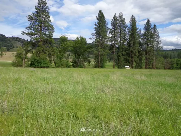 Curlew, WA 99118,0 Lot 3 Pine Creek LN