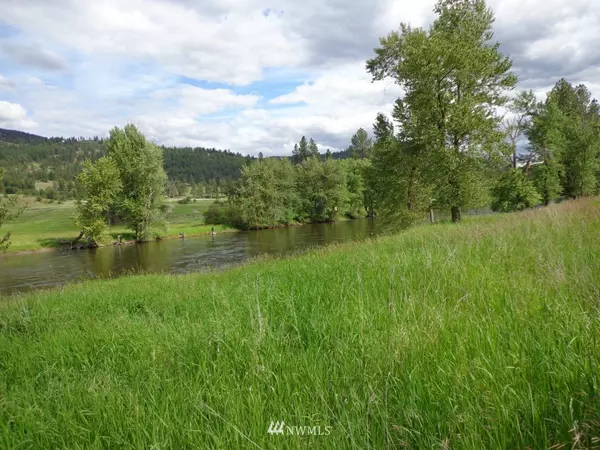 Curlew, WA 99118,4 Lot 4 Pine Creek LN