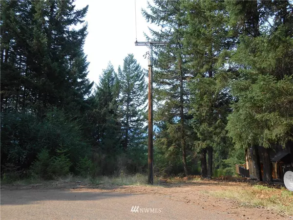 Packwood, WA 98361,0 Lot 4 Alpine DR