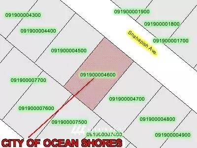 409 Snahapish AVE SE, Ocean Shores, WA 98569