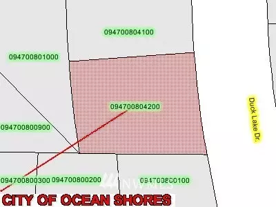 Ocean Shores, WA 98569,367 Duck Lake DR SE