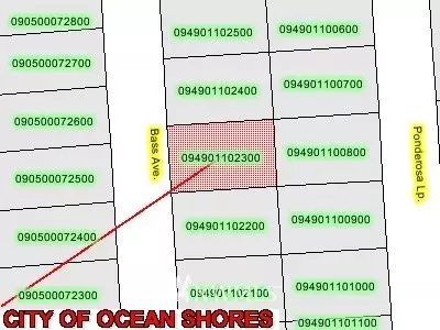 Ocean Shores, WA 98569,350 Bass AVE NE