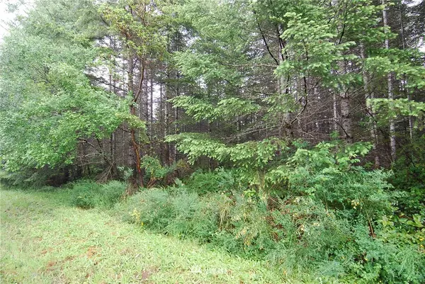 0 xxx E Elaine PL, Belfair, WA 98528