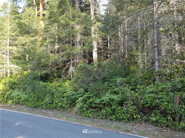 0 Lot 20 Hurd Road, Tahuya, WA 98588