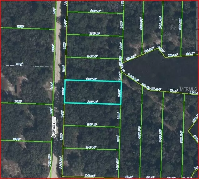 Webster, FL 33597,NORWAY ST