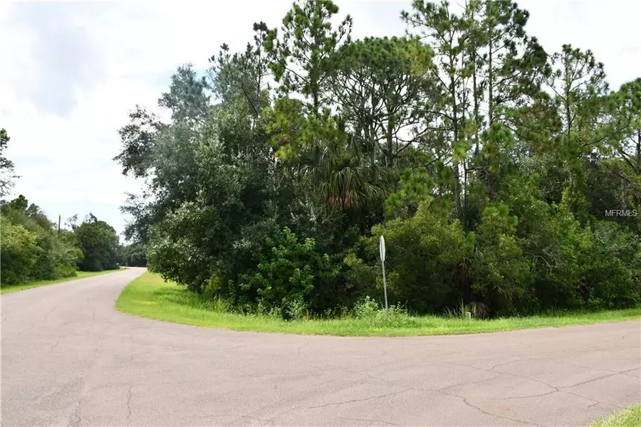 1729 SHENANDOAH RD, Wimauma, FL 33598