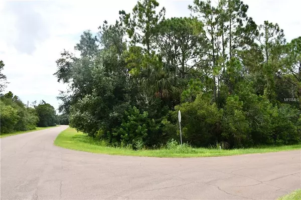 Wimauma, FL 33598,1729 SHENANDOAH RD