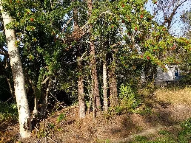 Avon Park, FL 33825,1954 S GABRIEL RD