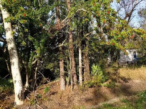 1954 S GABRIEL RD, Avon Park, FL 33825