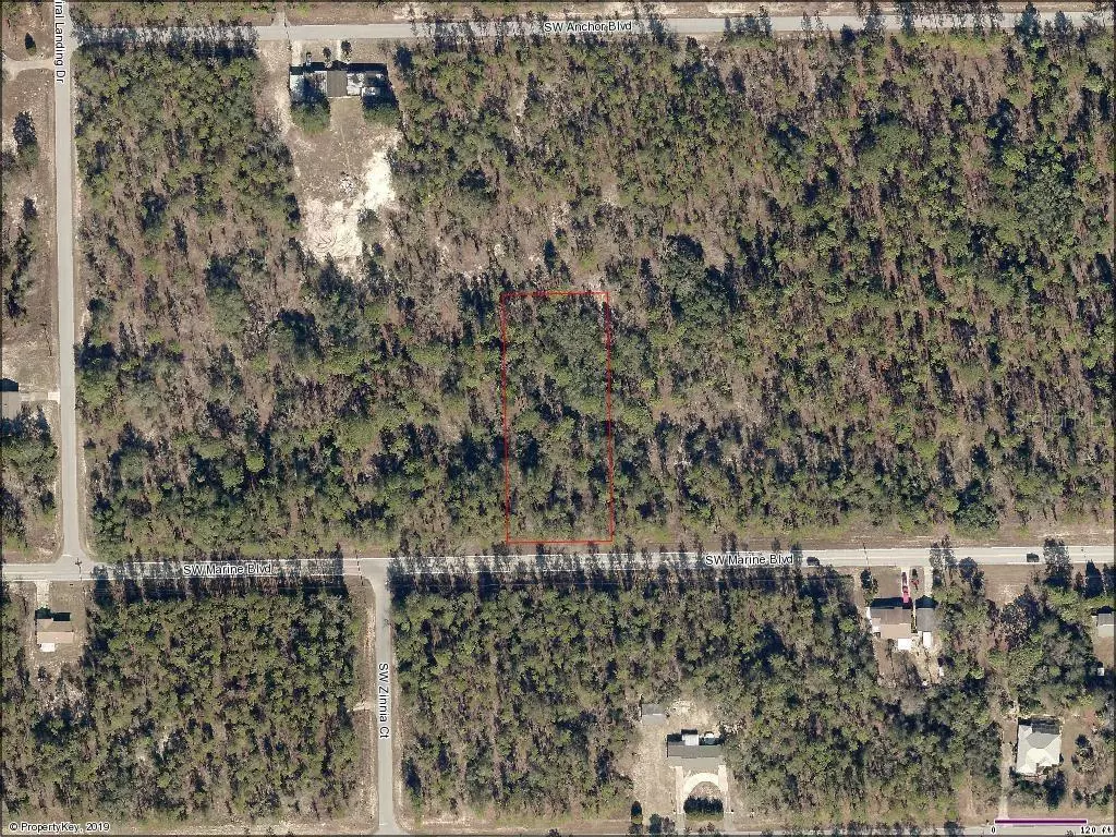 Dunnellon, FL 34431,NO ADDRESS AVAIL