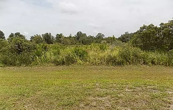1041 397TH CT E, Myakka City, FL 34251